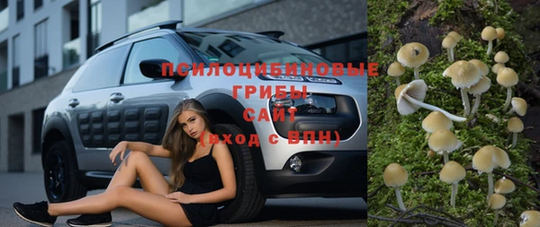 кокс Алексин